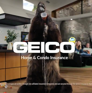 Geico Bear Commercial Still
