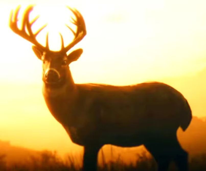 Red Dead Redemption 2 Still