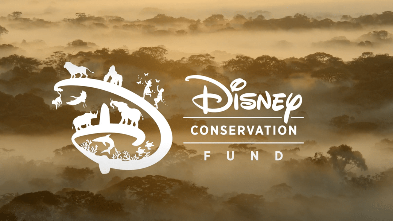 Disney Conservation Fund logo
