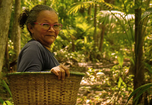 A woman harvests product for cosmetics