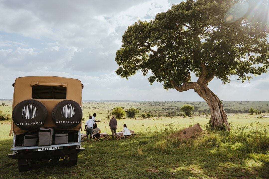 A Wilderness Safaris outing