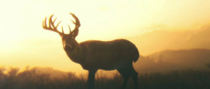 Arthur Morgan's spirit animal, a white-tailed deer, from the video game Red Dead Redemption 2.