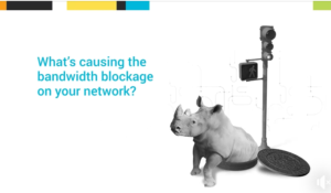 An ad for Solarwinds featuring a white rhinoceros emerging from a network portal.